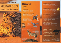 3. 7-10 Flyer Gepard - Sprint ums Ãberleben titel web.jpg